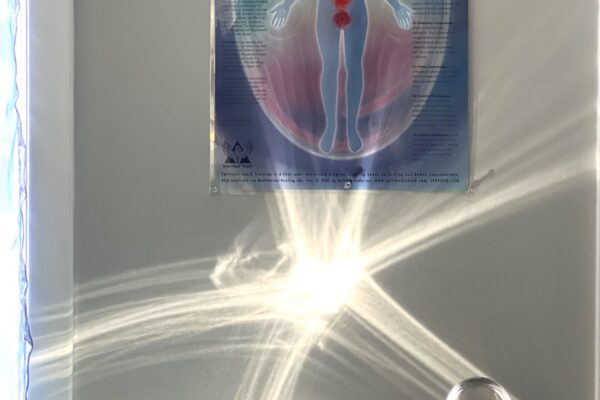 Sun dancing in your new office space